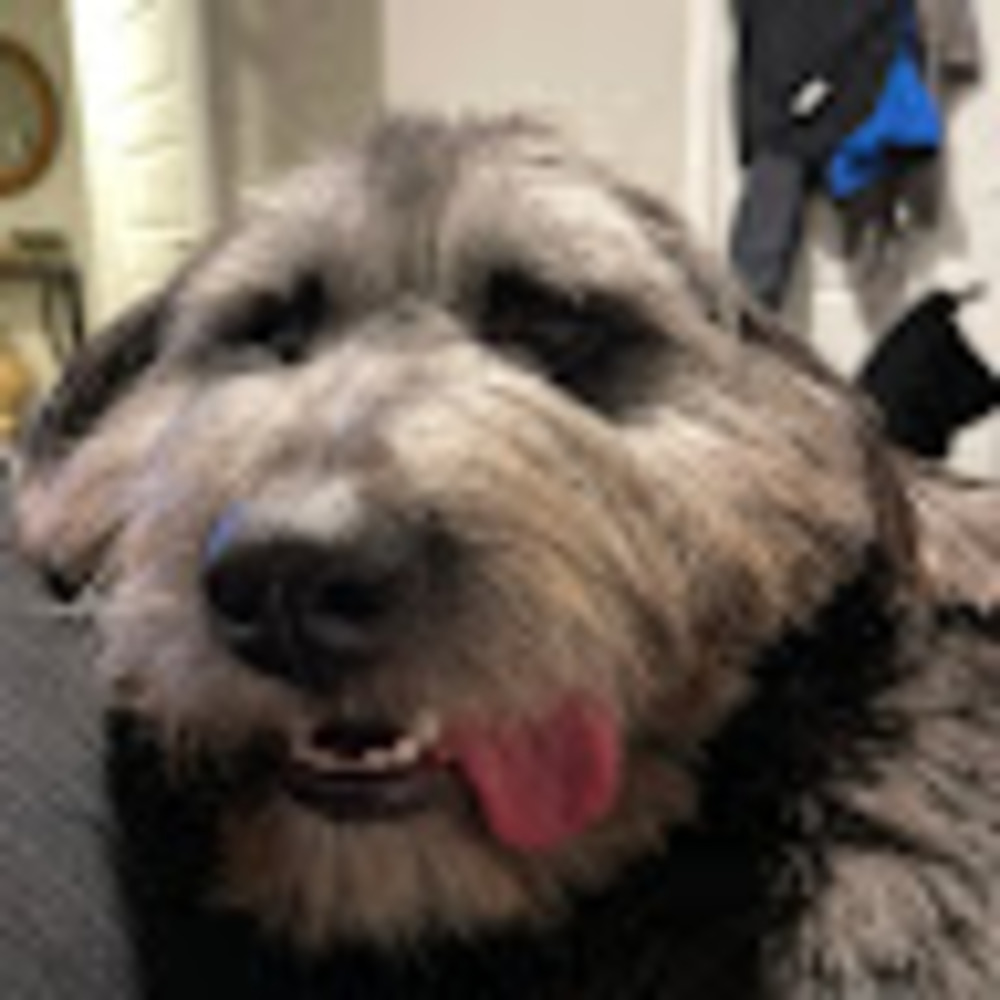 Meet your Posher, Carlos